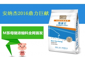 安納杰2016鼎力巨獻，M系母豬濃縮料全網(wǎng)首發(fā)